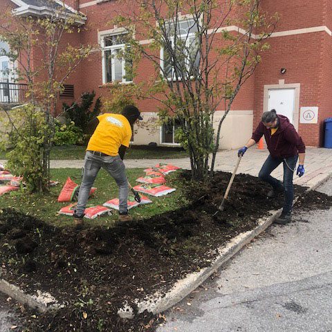 Employees tilling soil in front lawn