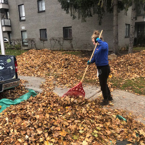 Employee raking leaves